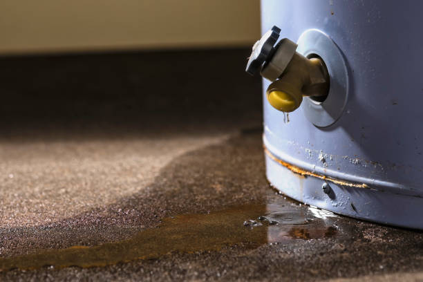 Best Sewage cleanup and water damage restoration  in Willard, UT