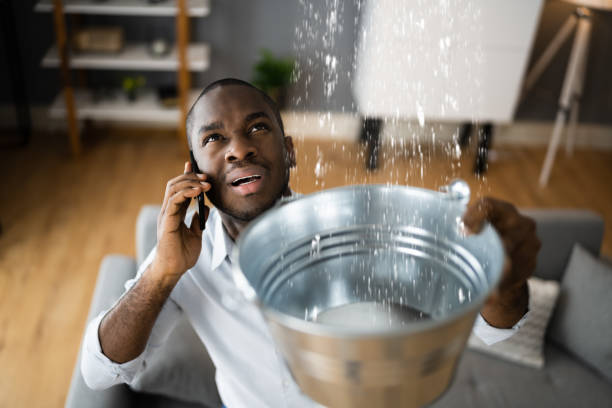 Best Flood restoration services  in Willard, UT