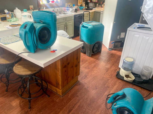 Best Water damage contractors near me  in Willard, UT