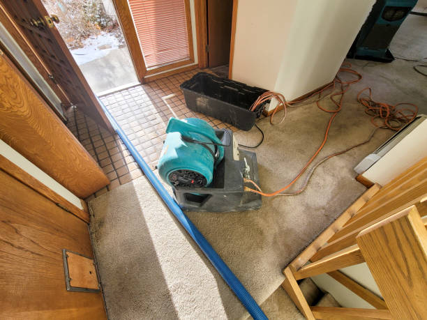 Best Emergency water damage restoration  in Willard, UT