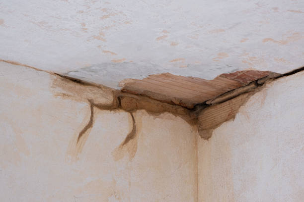 Best Flooded house restoration  in Willard, UT