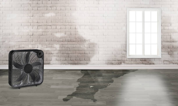 Water damage restoration experts in UT