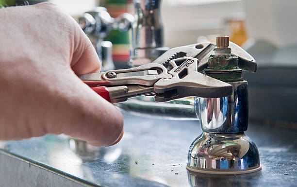 Best Basement water damage restoration  in Willard, UT