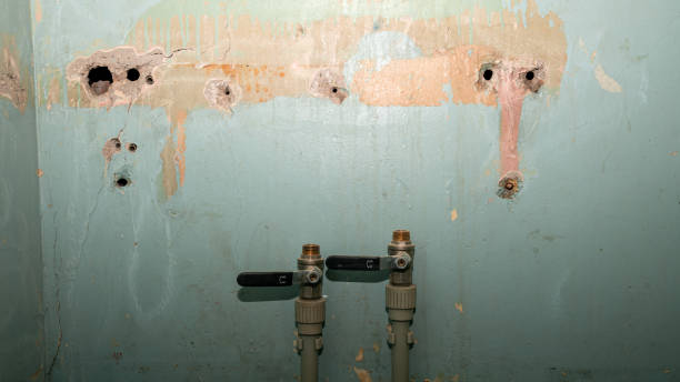 Best Fire Damage Restoration  in Willard, UT