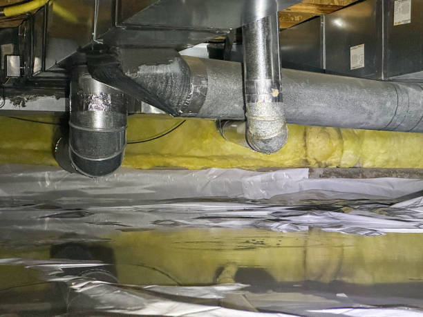 Best Water damage restoration near me  in Willard, UT