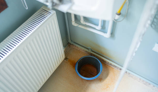 Best Water damage restoration near me  in Willard, UT