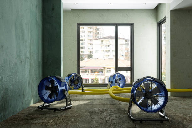 Best Local water damage restoration  in Willard, UT