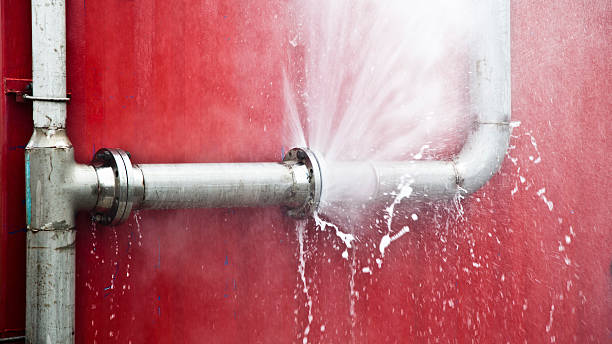 Best Ceiling water damage repair  in Willard, UT