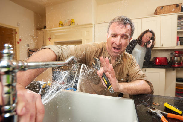 Best Residential water damage restoration  in Willard, UT